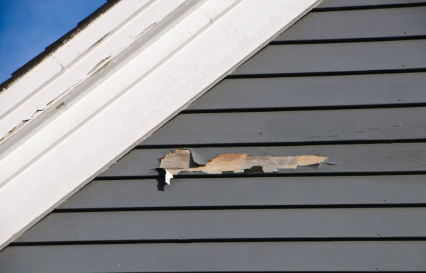 Best Siding Painting and Refinishing  in Vernon Valley, NJ